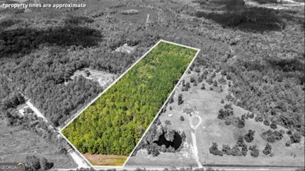 Land for sale in Long County, Georgia
