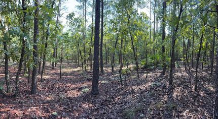 Homesite for sale in Walton County, Florida
