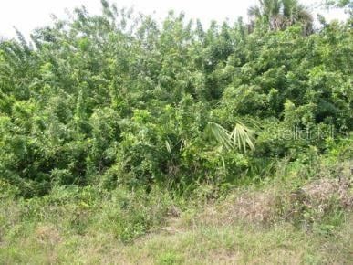 Land for sale in Lee County, Florida