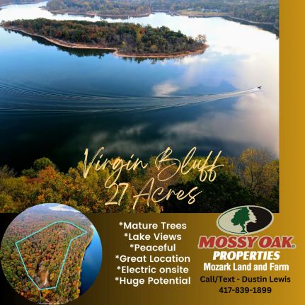 Land for sale in Stone County, Missouri