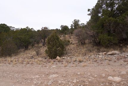 Undeveloped Land for sale in Otero County, New Mexico
