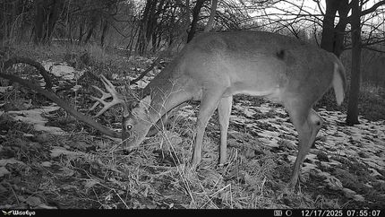 Land for sale in Clark County, Illinois