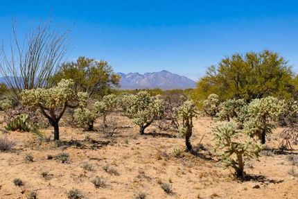 Homesite for sale in Pima County, Arizona