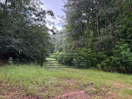 Land for sale in Amite County, Mississippi