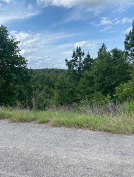 Land for sale in Bastrop County, Texas