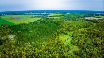 Land for sale in Beltrami County, Minnesota