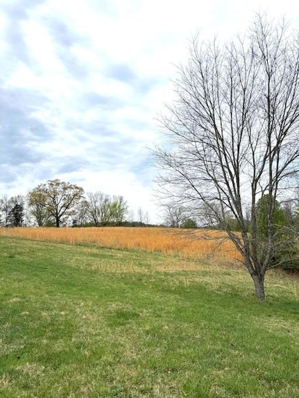 Land for sale in Franklin County, Virginia