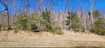 Homesite for sale in Franklin County, Virginia