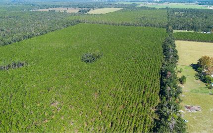 Land for sale in Suwannee County, Florida