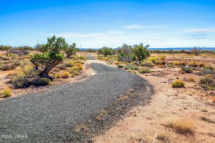 Land for sale in Navajo County, Arizona