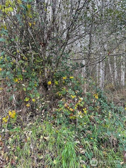 Land for sale in Thurston County, Washington