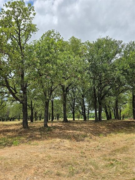 Land for sale in Wise County, Texas