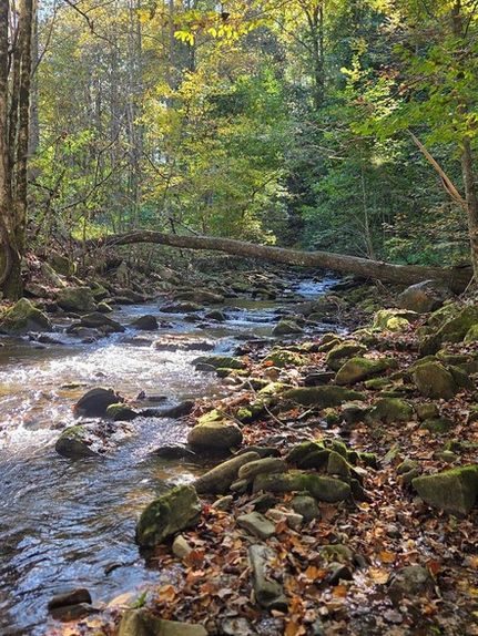 Land for sale in Cherokee County, North Carolina