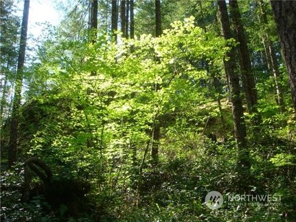 Land for sale in Mason County, Washington