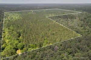 Land for sale in Perry County, Mississippi