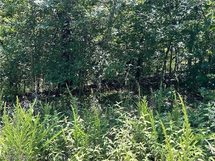 Land for sale in Cherokee County, Oklahoma