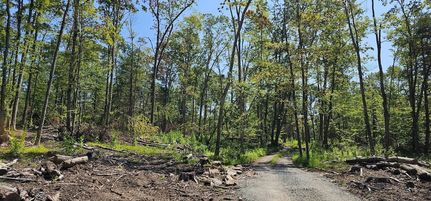 Land for sale in Sullivan County, New York