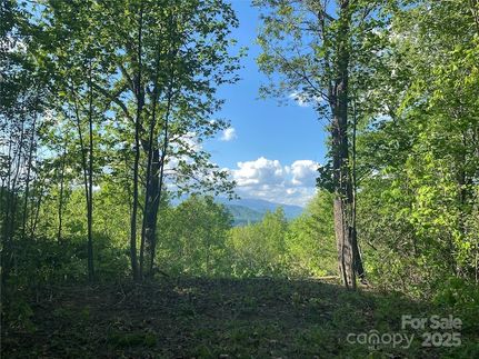 Land for sale in McDowell County, North Carolina