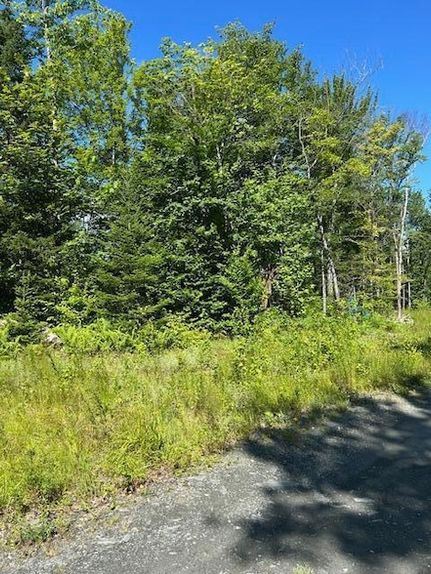 Land for sale in Piscataquis County, Maine