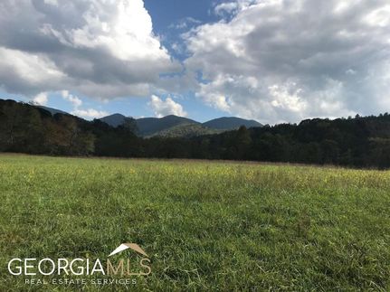 Land for sale in Towns County, Georgia