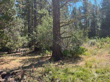 Land for sale in Lassen County, California