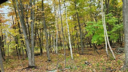 Land for sale in Greene County, New York