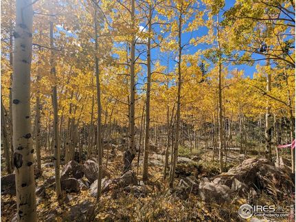 Land for sale in Larimer County, Colorado