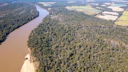 Land for sale in Toombs County, Georgia