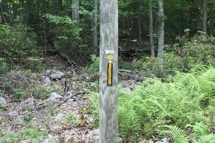 Land for sale in Highland County, Virginia