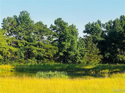 Undeveloped Land for sale in Audrain County, Missouri