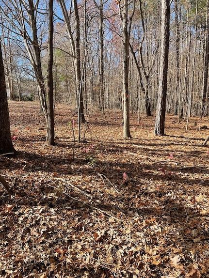 Land for sale in Mecklenburg County, Virginia