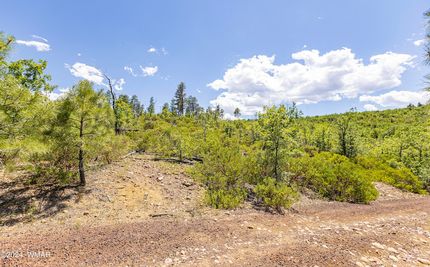 Land for sale in Navajo County, Arizona