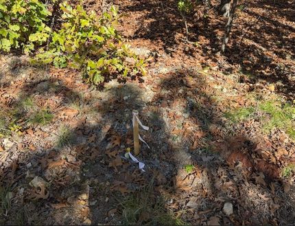 Land for sale in Fulton County, Arkansas