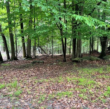Land for sale in Wayne County, Pennsylvania