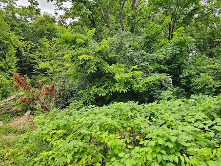 Land for sale in Anderson County, Kentucky