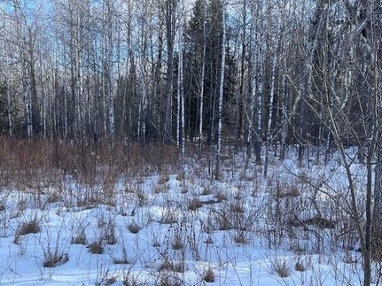 Land for sale in Forest County, Wisconsin