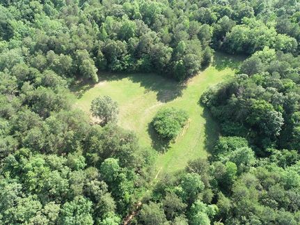 Land for sale in Winston County, Alabama