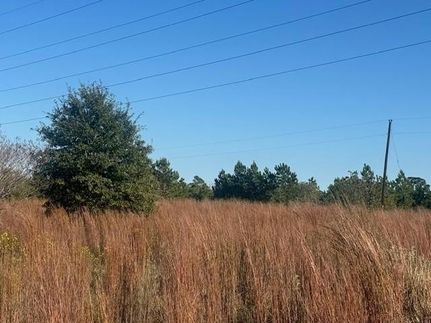 Homesite for sale in Bastrop County, Texas