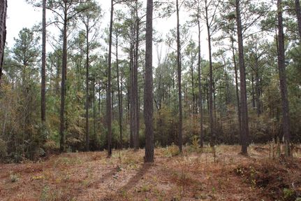 Land for sale in Tallapoosa County, Alabama