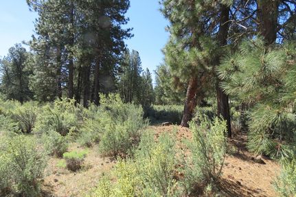 Land for sale in Klamath County, Oregon
