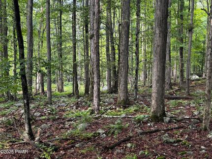 Land for sale in Pike County, Pennsylvania