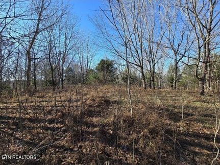 Land for sale in Jackson County, Tennessee