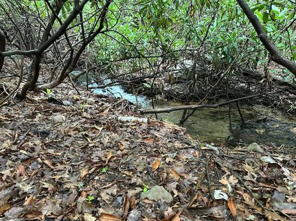 Land for sale in Monroe County, Pennsylvania