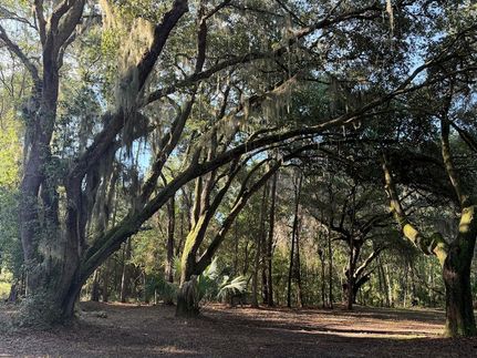 Land for sale in Charleston County, South Carolina