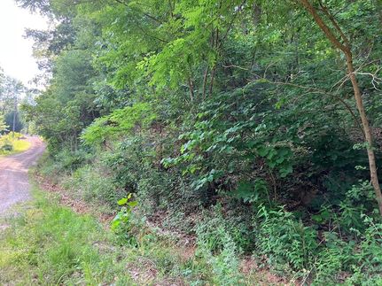 Land for sale in Rutherford County, North Carolina