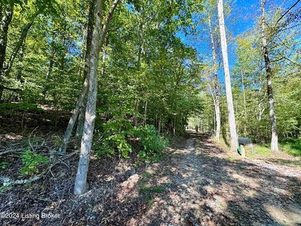 Land for sale in Marion County, Kentucky