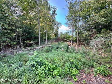 Land for sale in Nelson County, Kentucky