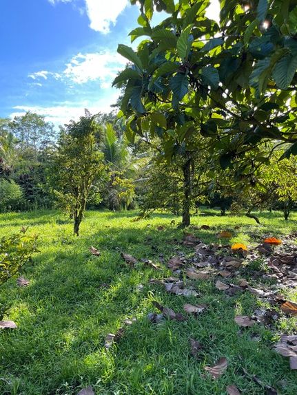 Land for sale in Hawaii County, Hawaii