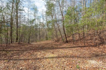 Homesite for sale in Rutherford County, North Carolina