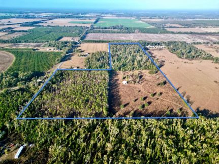 Land for sale in Lafayette County, Florida